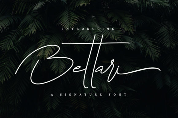 Bettari: Elevating Design with Elegant Script Typography